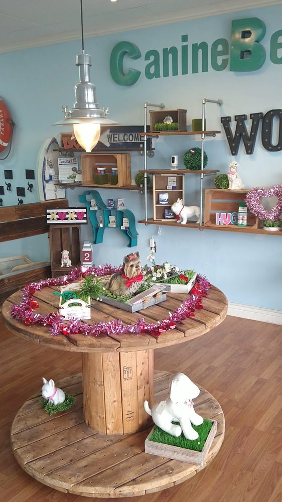 The welcoming lobby at Canine Beach Pet Grooming